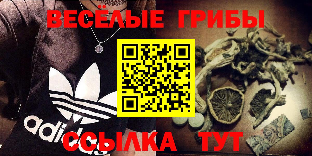 Волжск  Галлюциногенные грибы Psilocybe  Вход с VPN 